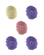 Purple Advent Glint Sets