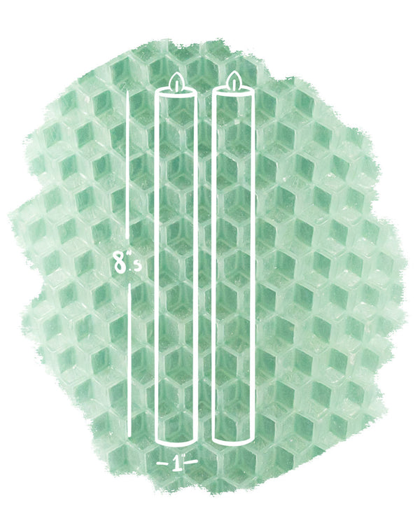 Robin's Egg Blue E-Line